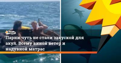 Парни чуть не стали закуской для акул. Всему виной ветер и надувной матрас - ridus.ru