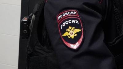 Владимир Колокольцев - Деятельность более чем 200 этнических банд пресечена в России - 5-tv.ru - Россия