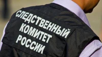 Олимпийский чемпион Блинов насмерть замерз недалеко от дома в Подмосковье - polit.info - Московская обл. - Можайск