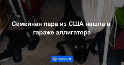 Семейная пара из США нашла в гараже аллигатора - news.mail.ru - USA - шт.Флорида
