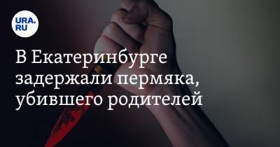 В Екатеринбурге задержали пермяка, убившего родителей - ura.news - Екатеринбург - Пермь - Свердловская обл. - Пермский край