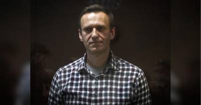 Алексей Навальный - Вадим Кобзев - Полная изоляция, нет даже чайника: адвокат рассказал об условиях содержания Навального в СИЗО - fakty.ua - Москва - Владимирская обл.