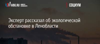 Юрий Шевчук - Эксперт рассказал об экологической обстановке в Ленобласти - ivbg.ru - Ленинградская обл. - Петербург