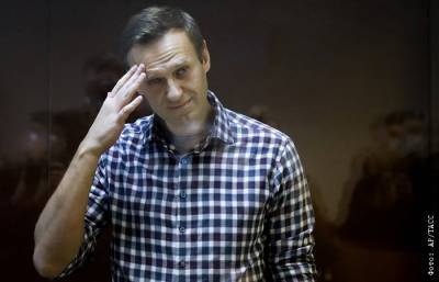 Алексей Навальный - Ольга Михайлова - Навальный останется в СИЗО до вступления в силу приговора о клевете - interfax.ru - Москва - Владимирская обл.