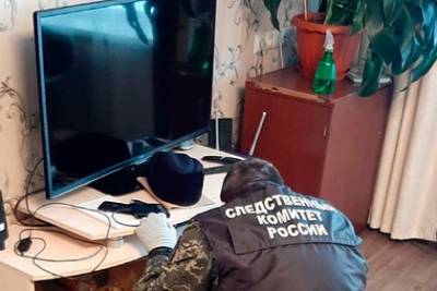 Раскрыты подробности расправы российским школьником над собственной семьей - lenta.ru - Екатеринбург - Пермский край