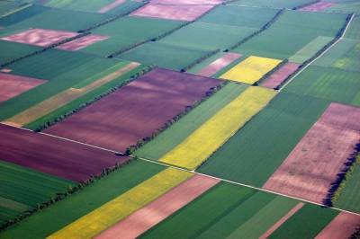 Создатель решений для фермеров на базе ИИ получил рекордную выручку - agroportal.ua