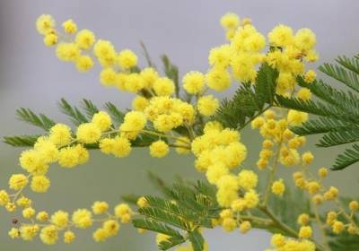 В Украине резко похолодает: какую погоду ждать к 8 марта - kp.ua - Украина - Крым
