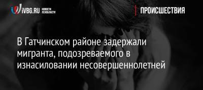 В Гатчинском районе задержали мигранта, подозреваемого в изнасиловании несовершеннолетней - ivbg.ru - Ленинградская обл. - Санкт-Петербург