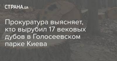 Прокуратура выясняет, кто вырубил 17 вековых дубов в Голосеевском парке Киева - strana.ua - Киев