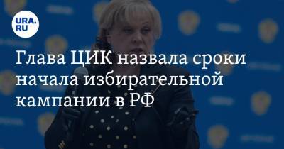 Элла Памфилова - Глава ЦИК назвала сроки начала избирательной кампании в РФ - ura.news