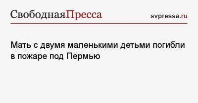 Мать с двумя маленькими детьми погибли в пожаре под Пермью - svpressa.ru - Пермь - Пермский край