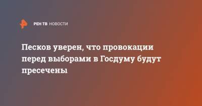 Дмитрий Песков - Элла Памфилова - Песков уверен, что провокации перед выборами в Госдуму будут пресечены - ren.tv - Москва