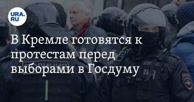 Дмитрий Песков - Элла Памфилова - В Кремле готовятся к протестам перед выборами в Госдуму - ura.news