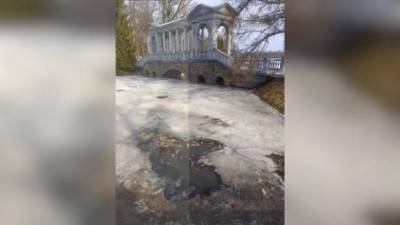 В Екатерининском парке массово гибнет рыба - delovoe.tv - Павловск