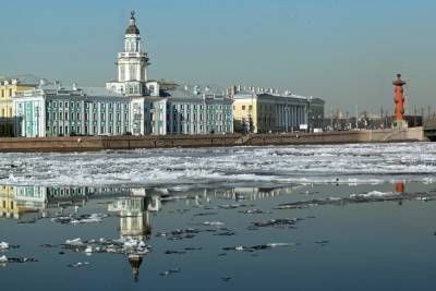В России выросло число преступлений, совершенных иностранными гражданами - abnews.ru - Москва - Санкт-Петербург - Московская обл.