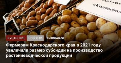 Фермерам Краснодарского края в 2021 году увеличили размер субсидий на производство растениеводческой продукции - kubnews.ru - Краснодарский край