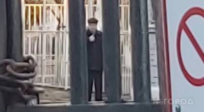 "Больно не сделаю": в Ярославле у школы взяли 78-летнего педофила - progorod76.ru - Ярославская обл. - Ярославль
