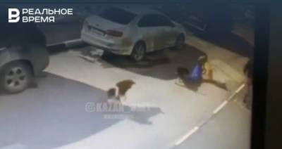 Соцсети: В Казани свора собак напала на ребенка - realnoevremya.ru - респ. Татарстан - Казань