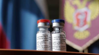 Европарламентарий напомнил о высокой эффективности вакцины «Спутник V» - newdaynews.ru - Москва