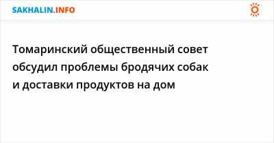 Томаринский общественный совет обсудил проблемы бродячих собак и доставки продуктов на дом - sakhalin.info - Красногорск
