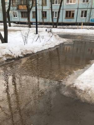 В Вологде подтопило бульвар Пирогова - vologda-poisk.ru - Вологда