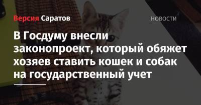 В Госдуму внесли законопроект, который обяжет хозяев ставить кошек и собак на государственный учет - nversia.ru