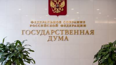 Ярослав Нилов - Михаил Мишустин - В ГД оценили идею премировать правоохранителей за работу в пандемию - m24.ru