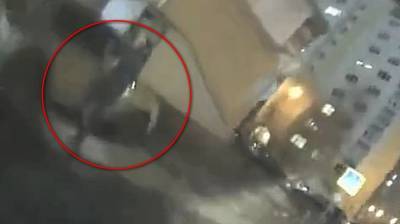Появилось видео последних секунд жизни женщины, погибшей в ДТП на Шишкова в Воронеже - vestivrn.ru - Воронеж
