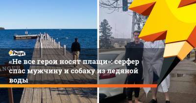 «Не все герои носят плащи»: серфер спас мужчину и собаку из ледяной воды - ridus.ru - шт. Миннесота