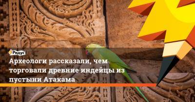 Археологи рассказали, чем торговали древние индейцы из пустыни Атакама - ridus.ru - шт.Пенсильвания - Чили