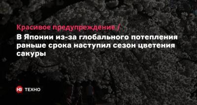 Leah Millis - Красивое предупреждение. В Японии из-за глобального потепления раньше срока наступил сезон цветения сакуры - nv.ua - Япония