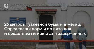 25 метров туалетной бумаги в месяц. Определены нормы по питанию и средствам гигиены для задержанных - news.tut.by