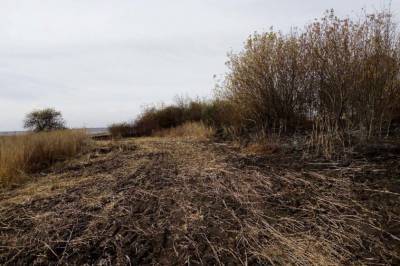 С жителя Белгородской области требуют 17 млн рублей за сжигание сорняков - readovka.news - Белгородская обл.