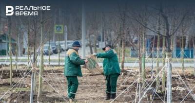 Максим Платонов - Минэкологии Татарстана поручило до майских праздников очистить улицы от накопившегося за зиму мусора - realnoevremya.ru - респ. Татарстан