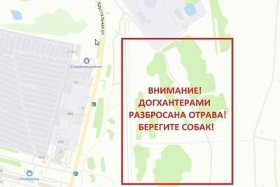 В Твери догхантеры разбросали по роще отравленный паштет - tver.mk.ru - Тверь