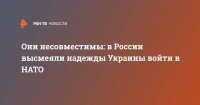 Они несовместимы: в России высмеяли надежды Украины войти в НАТО - ren.tv - Украина