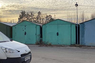 Андрей Кутепов - В Совфеде рекомендовали одобрить закон о гаражной амнистии - pnp.ru