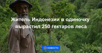 Житель Индонезии в одиночку вырастил 250 гектаров леса - news.mail.ru - Индонезия