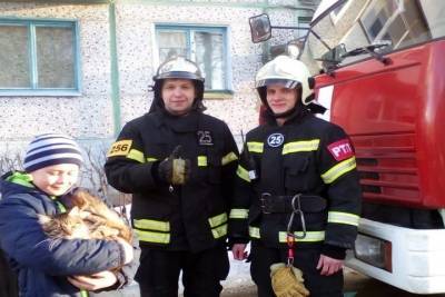 В Новомосковске пожарные и дети спасли кошку - tula.mk.ru - Новомосковск