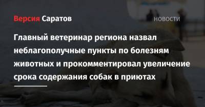 Главный ветеринар региона назвал неблагополучные пункты по болезням животных и прокомментировал увеличение срока содержания собак в приютах - nversia.ru - Саратовская обл.