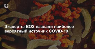 Эксперты ВОЗ назвали наиболее вероятный источник COVID-19 - news.tut.by - Ухань