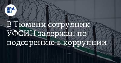 В Тюмени сотрудник УФСИН задержан по подозрению в коррупции - ura.news - Тюмень - Тюменская обл.