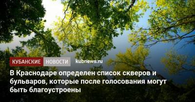 В Краснодаре определен список скверов и бульваров, которые после голосования могут быть благоустроены - kubnews.ru - Краснодарский край - Краснодар - Благоустройство