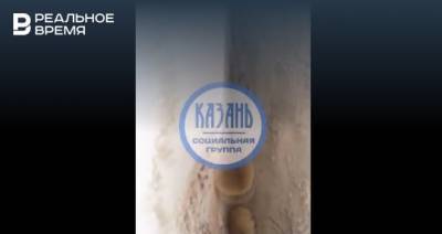 В Казанской школе начали расти грибы из-за потопа - realnoevremya.ru - респ. Татарстан