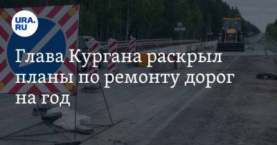 Андрей Потапов - Глава Кургана раскрыл планы по ремонту дорог на год. Карта - ura.news