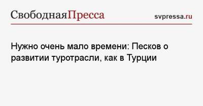 Дмитрий Песков - Зарина Догузова - Нужно очень мало времени: Песков о развитии туротрасли, как в Турции - svpressa.ru - Турция
