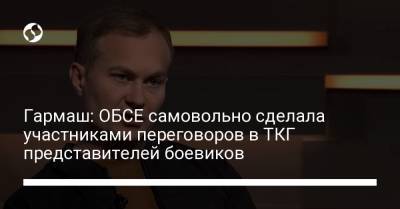 Сергей Гармаш - Гармаш: ОБСЕ самовольно сделала участниками переговоров в ТКГ представителей боевиков - liga.net - ДНР - ЛНР