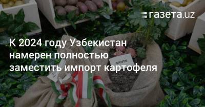 К 2024 году Узбекистан намерен полностью заместить импорт картофеля - gazeta.uz - Узбекистан - Венгрия