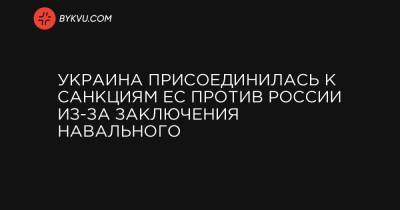 Алексей Навальный - Жозепа Борреля - Украина присоединилась к санкциям ЕС против России из-за заключения Навального - bykvu.com - Норвегия - Крым - Македония - Лихтенштейн - Черногория - Исландия - Албания