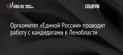 Оргкомитет «Единой России» проводит работу с кандидатами в Ленобласти - ivbg.ru - Ленинградская обл.